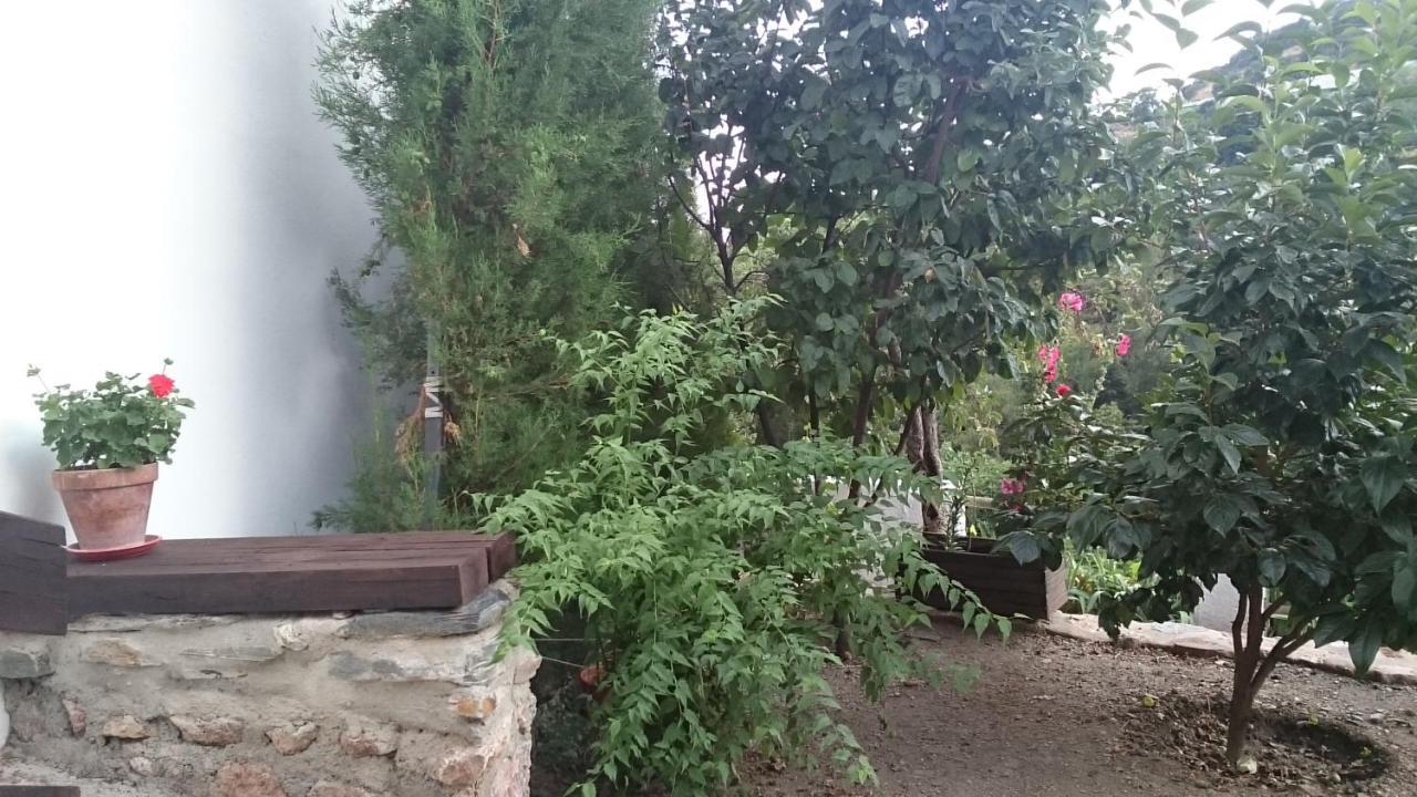 Casa-Huerto La Juana Villa Trevélez Екстериор снимка